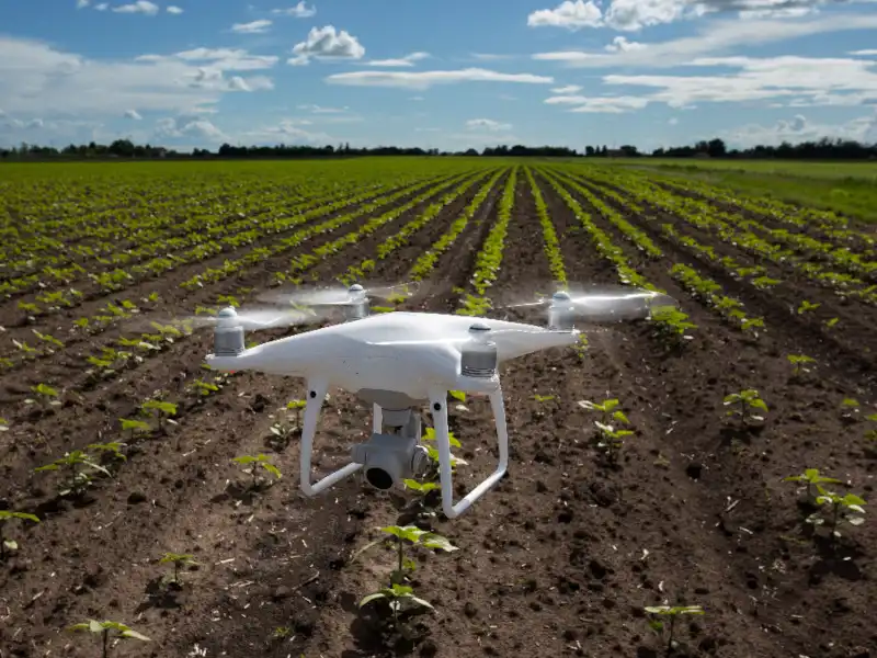 ジャパンアグリサービス中国を運営しております。